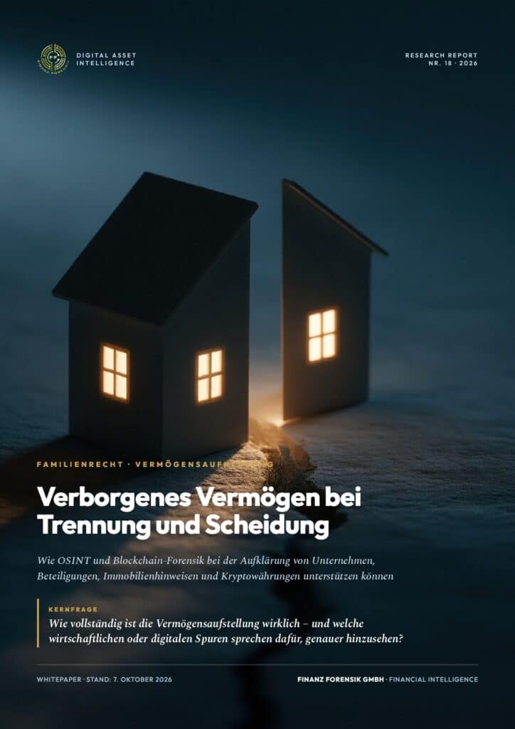 Titelseite Whitepaper Verborgenes Vermögen bei Trennung und Scheidung